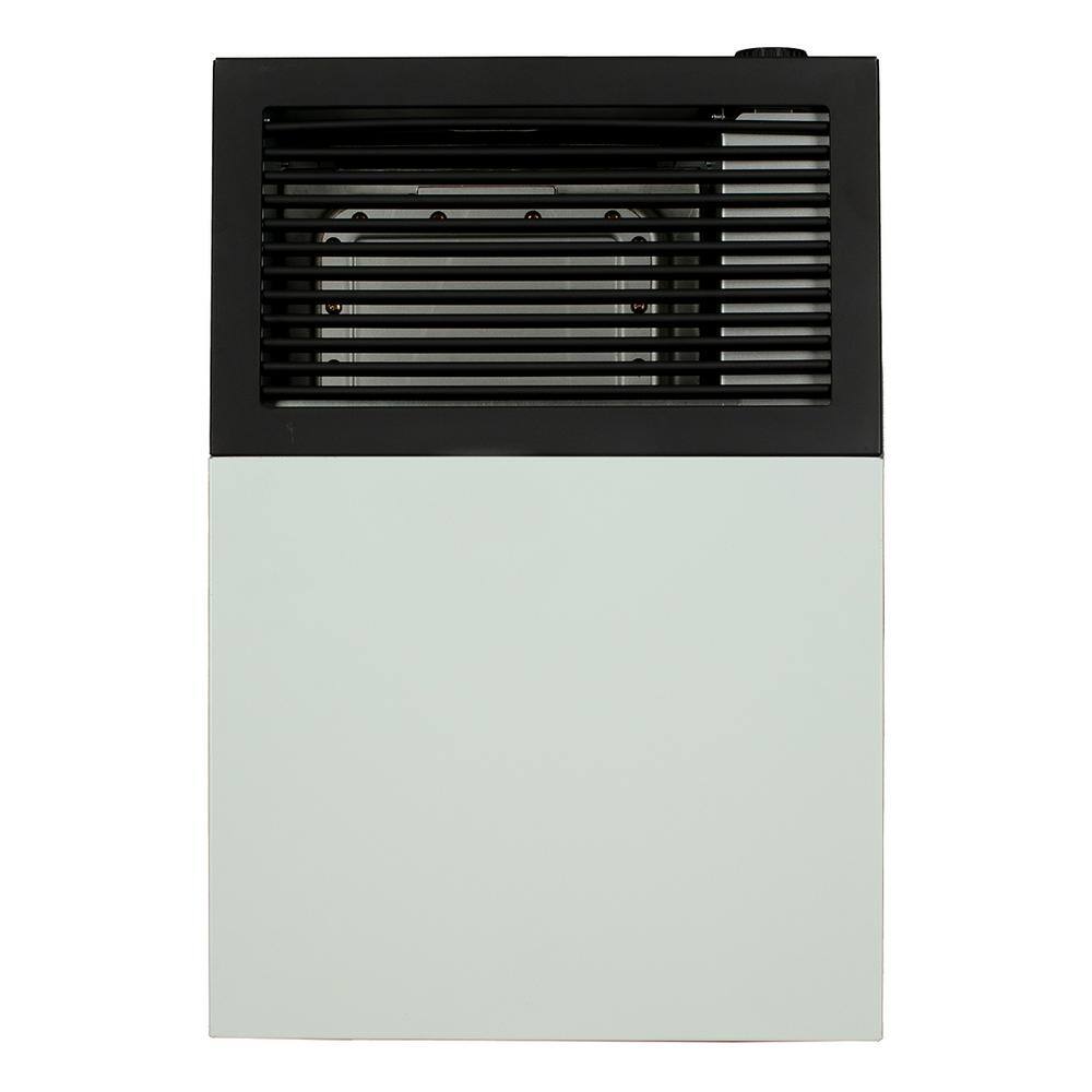 Ashley Hearth Products DVAG8N Ashley Direct Vent Natural Gas Wall Heater 8,000 BTU