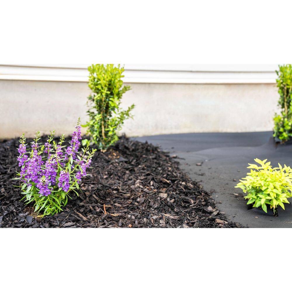 Vigoro NMV04200B 4 ft. x 200 ft. Medium Duty Point Bond Weed Barrier Landscape Fabric - Image 11