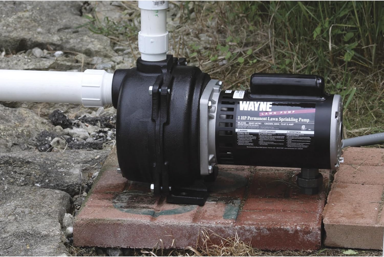Wayne Horsepower, Green WLS200 2 HP Cast Iron High Volume Lawn Sprinkling Pump - Image 3