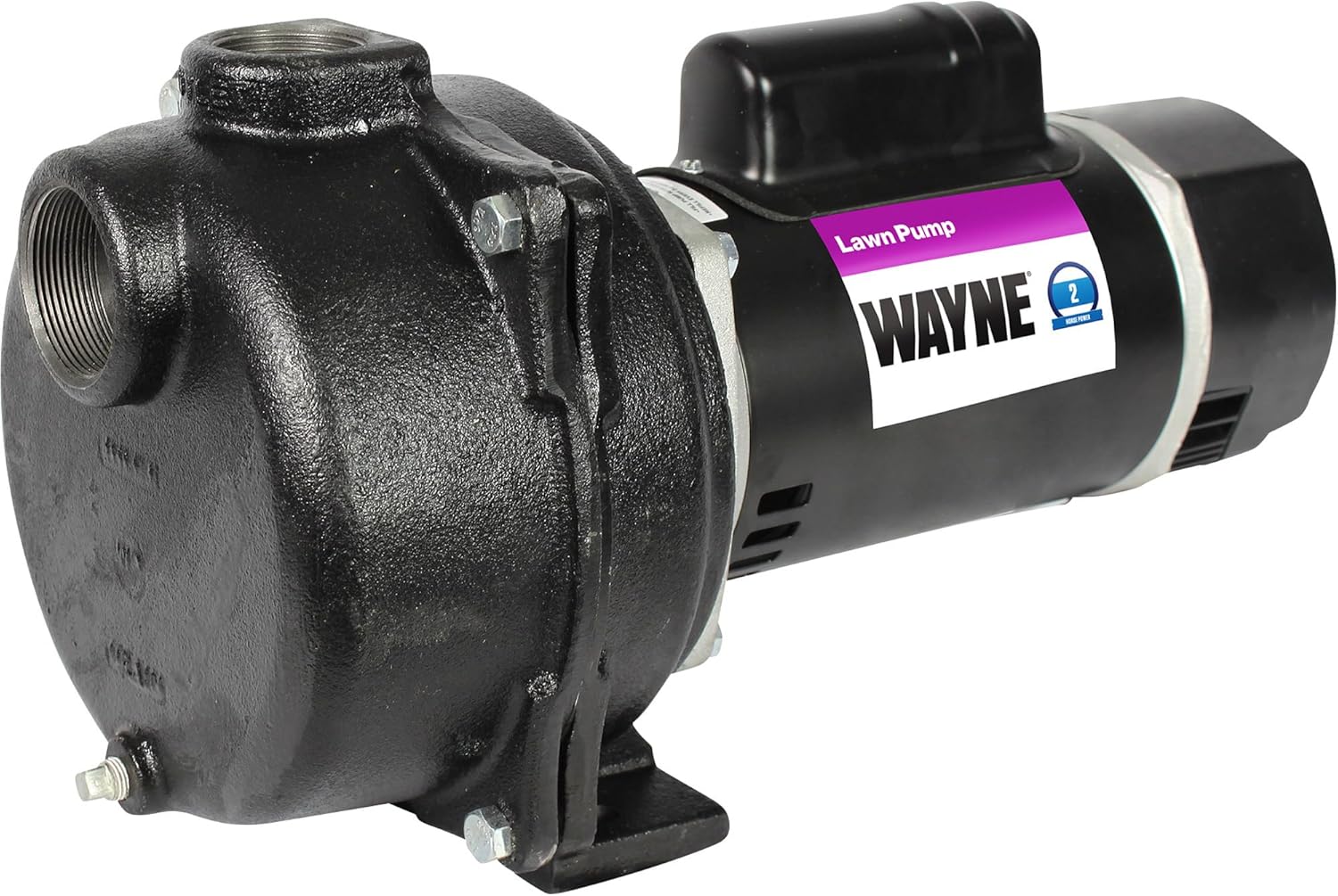 Wayne Horsepower, Green WLS200 2 HP Cast Iron High Volume Lawn Sprinkling Pump - Image 8